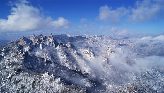風(fēng)力發(fā)電場(chǎng)安全規(guī)程的管理現(xiàn)狀？