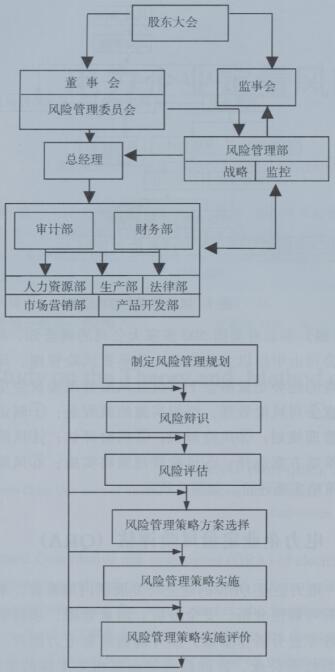 風險管理實施組織與基本流程