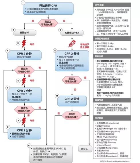 賽為安全應急救援技術03.jpg